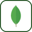 MongoDB